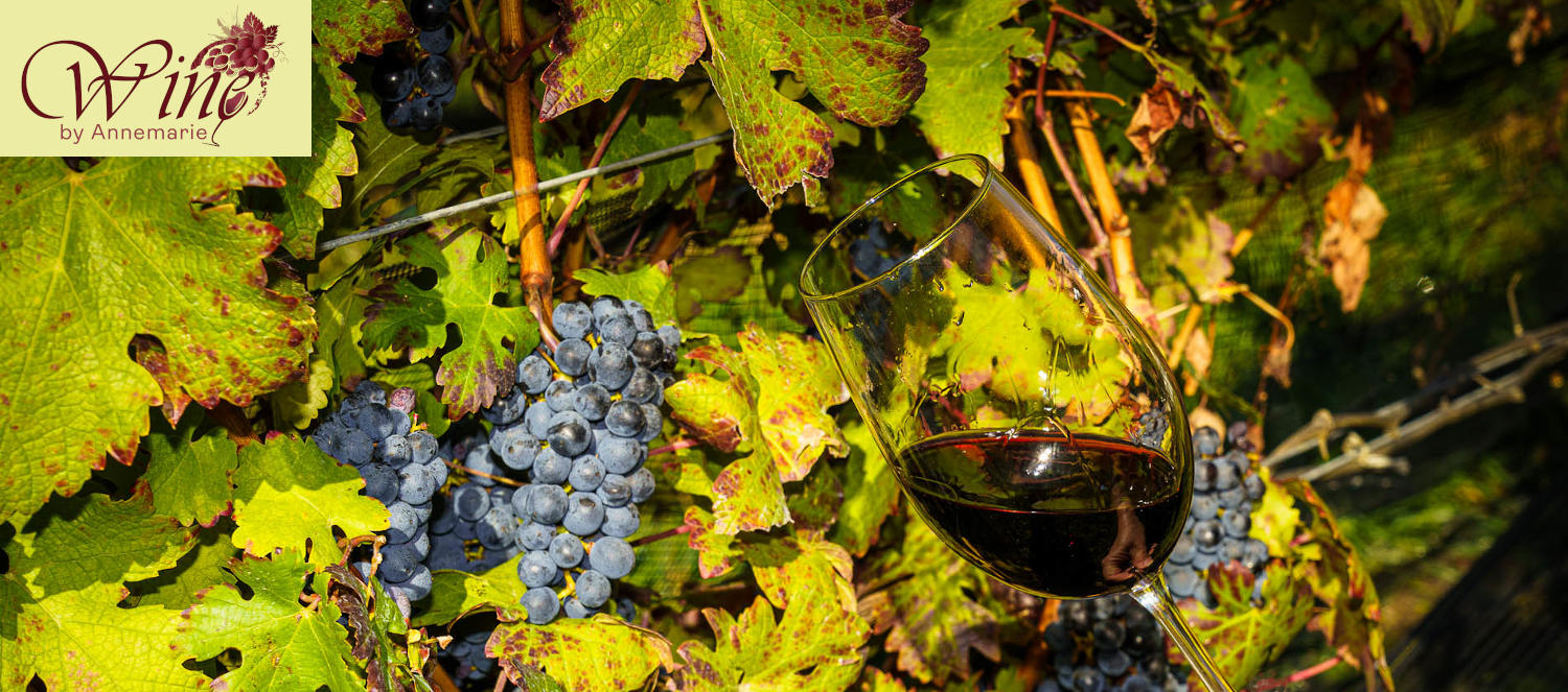 Banner Image showing grapes on vine and a wine glass