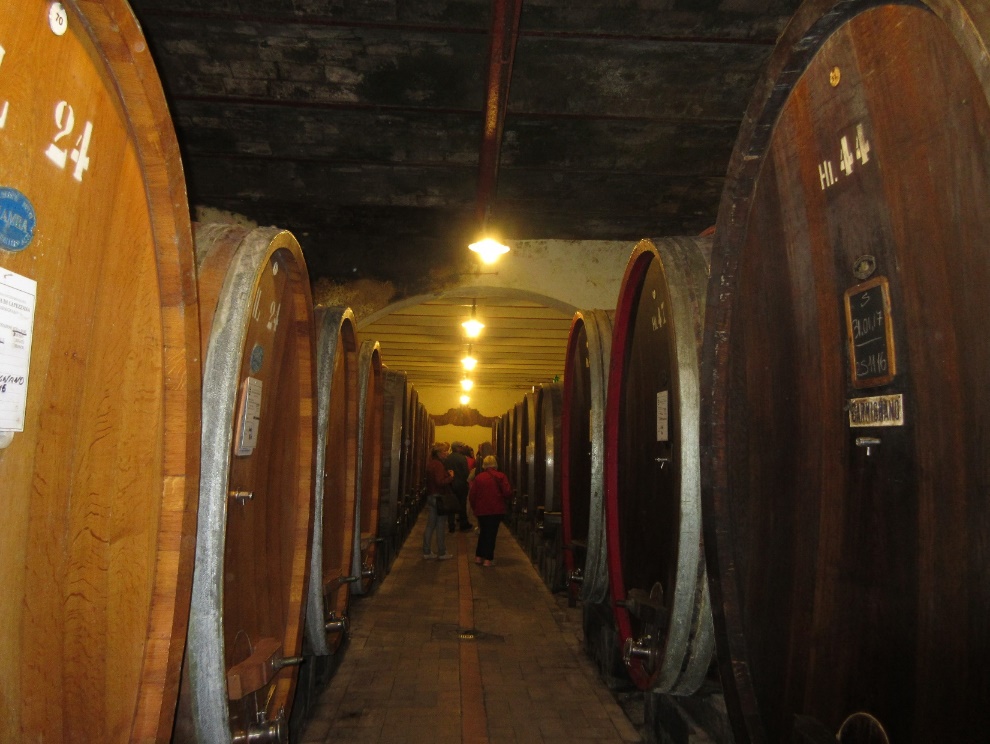 Image of wine barrells near Tuscany, Itally